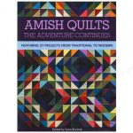 Amish Quilts-The Adventure Continues