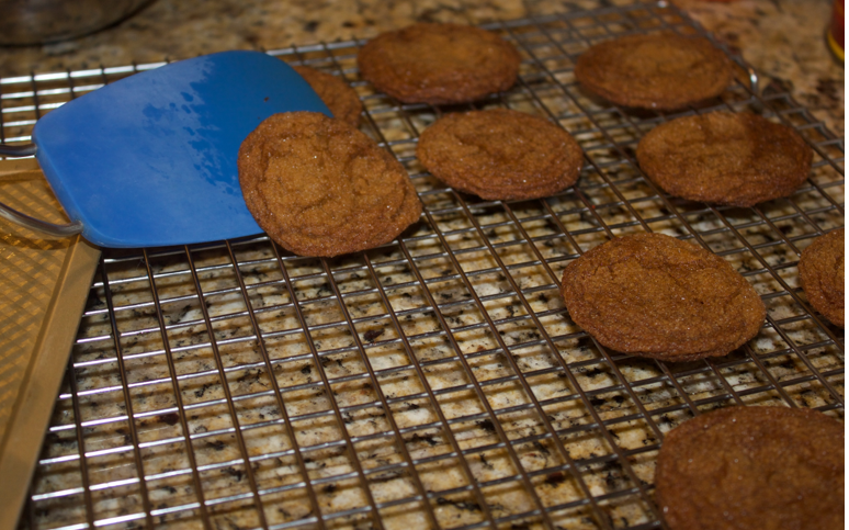 holiday baking molasses cookies